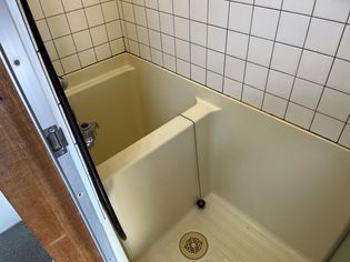 カリーナ泉の画像