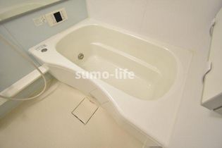 フローリッシュの画像