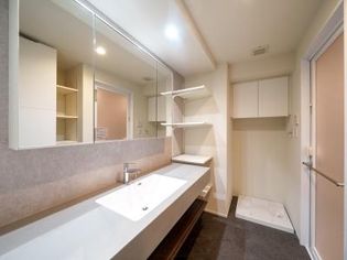 リエトコート アルクスタワーの画像