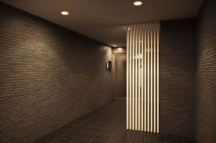 RELUXIA不動前の画像