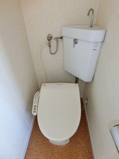 ノーブルの画像
