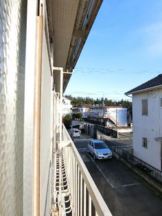 ノーブルの画像