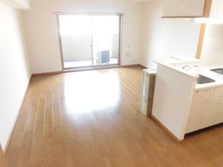 サムティレジデンス平和大通りの画像