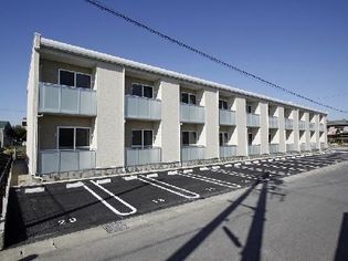 レオネクストモーニングローリーの画像