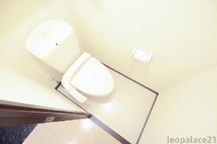 レオネクストモーニングローリーの画像