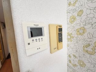 ワンダーランドBの画像