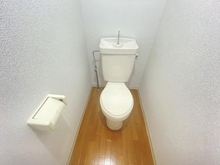 彩華1の画像