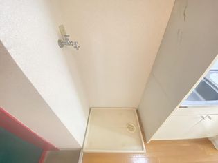彩華1の画像
