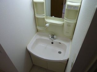 サン・コーポラス小阪のシャンプードレッサー付きの独立洗面台です。