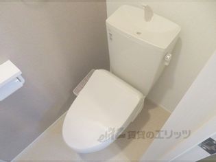 マーベラスコウベの画像