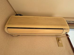 ベルードの画像