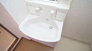 ル・ド・ソレイユのシャンプードレッサー