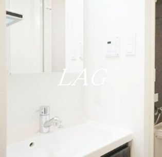 メインステージ立川IVの独立洗面台です。