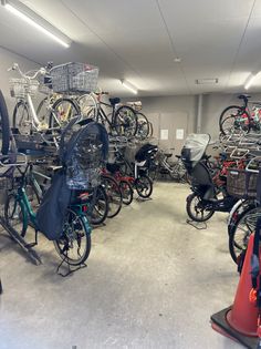 グレイス瑞江の画像