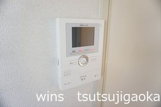 チェリーブロッサムの画像