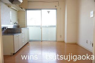 チェリーブロッサムの画像