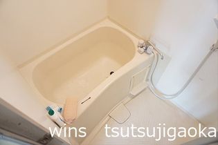 チェリーブロッサムの画像