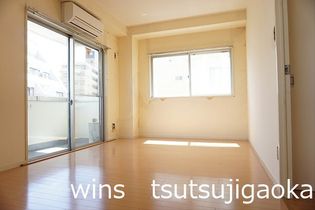 チェリーブロッサムの画像