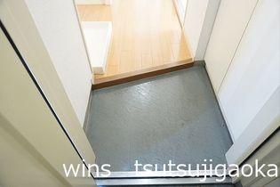 チェリーブロッサムの画像