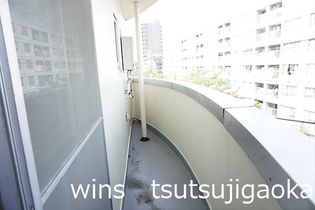 チェリーブロッサムの画像