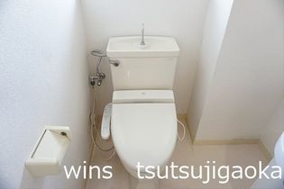 チェリーブロッサムの画像