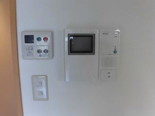 ベルデュール楓の画像