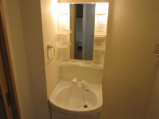 ソルビオス金剛院のシャワー付洗面化粧台