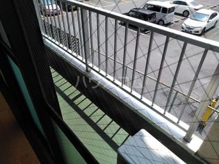 プラトー藤の画像