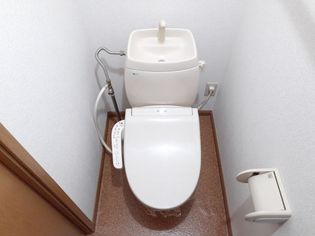 CHER YUNAGOの画像