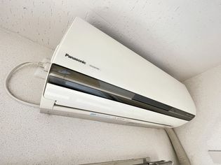 マロンコートの画像