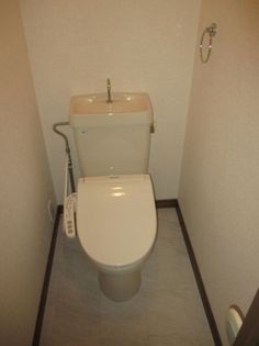 ヤングユーカリの画像