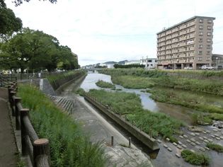 UR下大利の団地東側を流れる御笠川。遊歩道が整備されており、季節を感じな