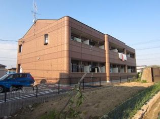 アマーレゆかりの画像