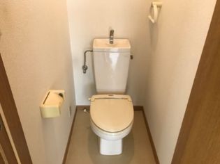 ノーブルコートの画像