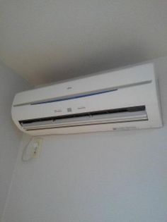 バーミィ・ナチュールの画像