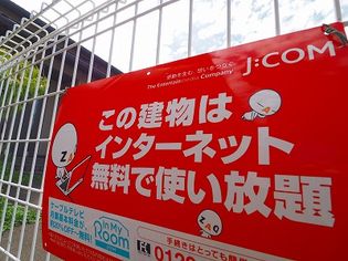 ダンディライオンの画像