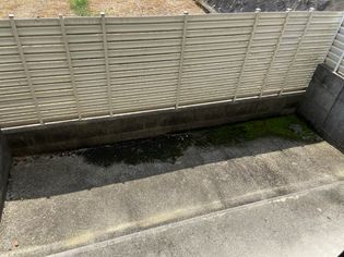 ロビンハイツの画像