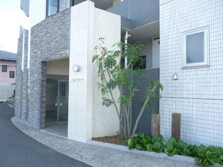 ハイパー桜の画像