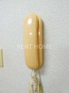 グリーングラスの画像