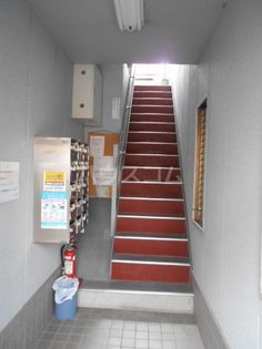 ル・松尾の画像