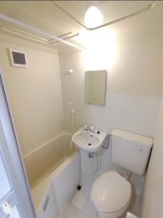 ルミニコスモスの画像