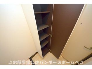 サンステラの画像