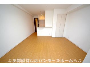 サンステラの画像