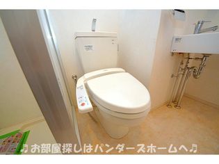 サンステラの画像