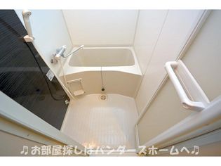 サンステラの画像