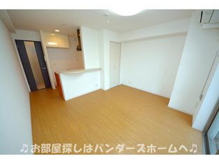 サンステラの画像