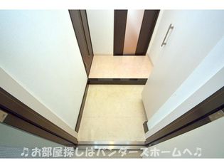 サンステラの画像