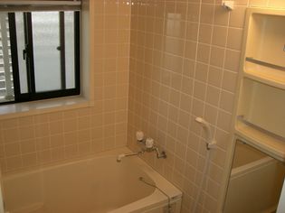 サバービアBの画像