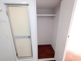 ルミニコスモスの画像