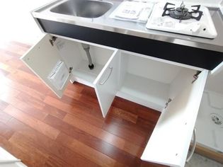 ルミニコスモスの画像